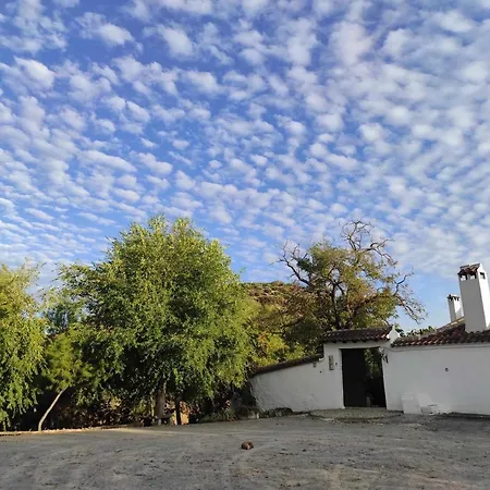 Cortijo La Gineta Country house Alcala La Real