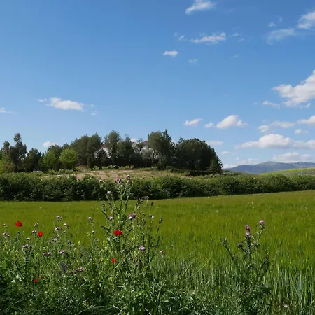 La Gineta Casa rural *